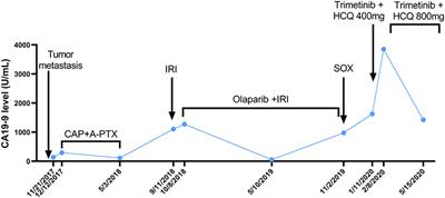 Case Report: Effectiveness of Targeted Treatment in a Patient With Pancreatic Cancer Harboring PALB2 Germline Mutation and KRAS Somatic Mutation